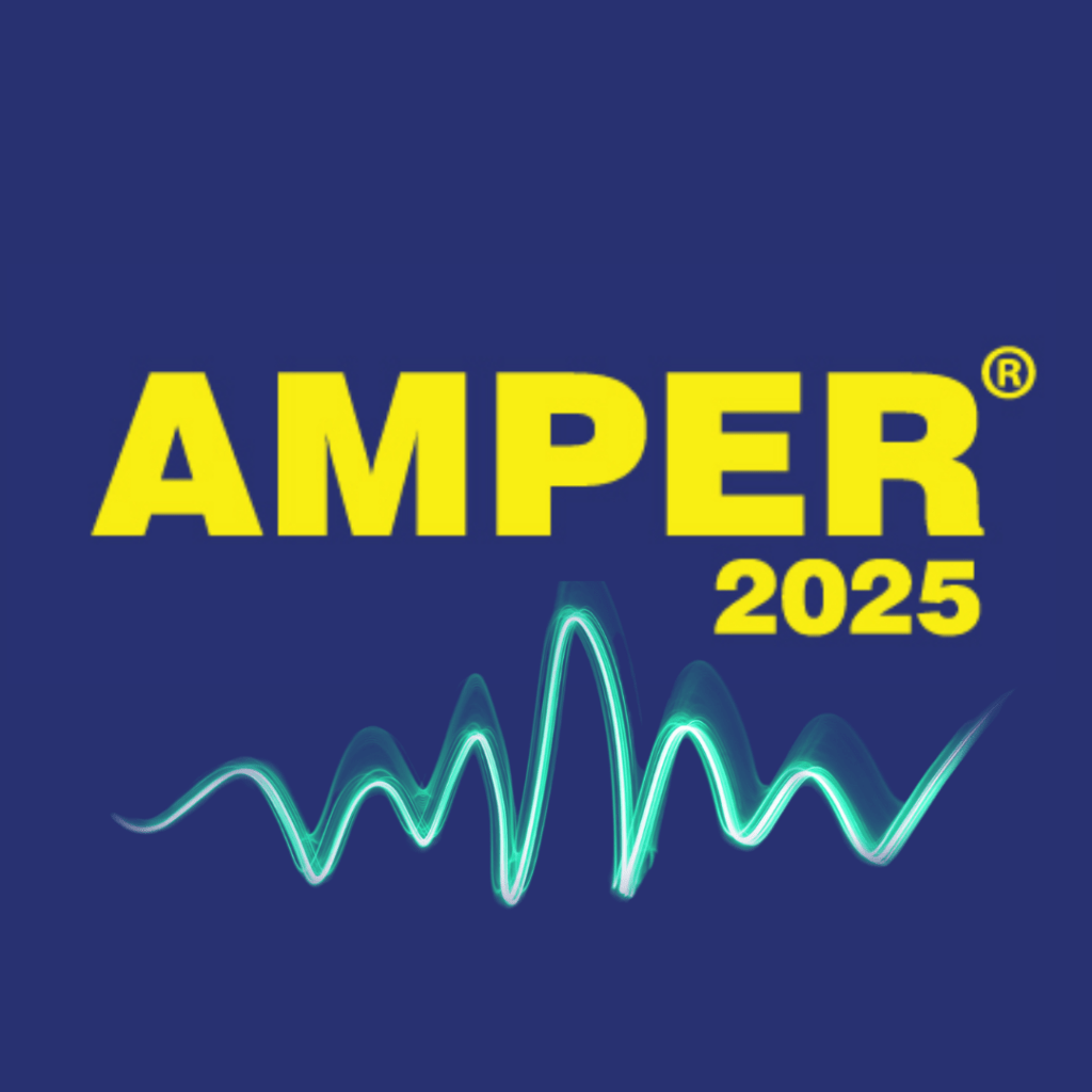 AMPER 2025 - IG